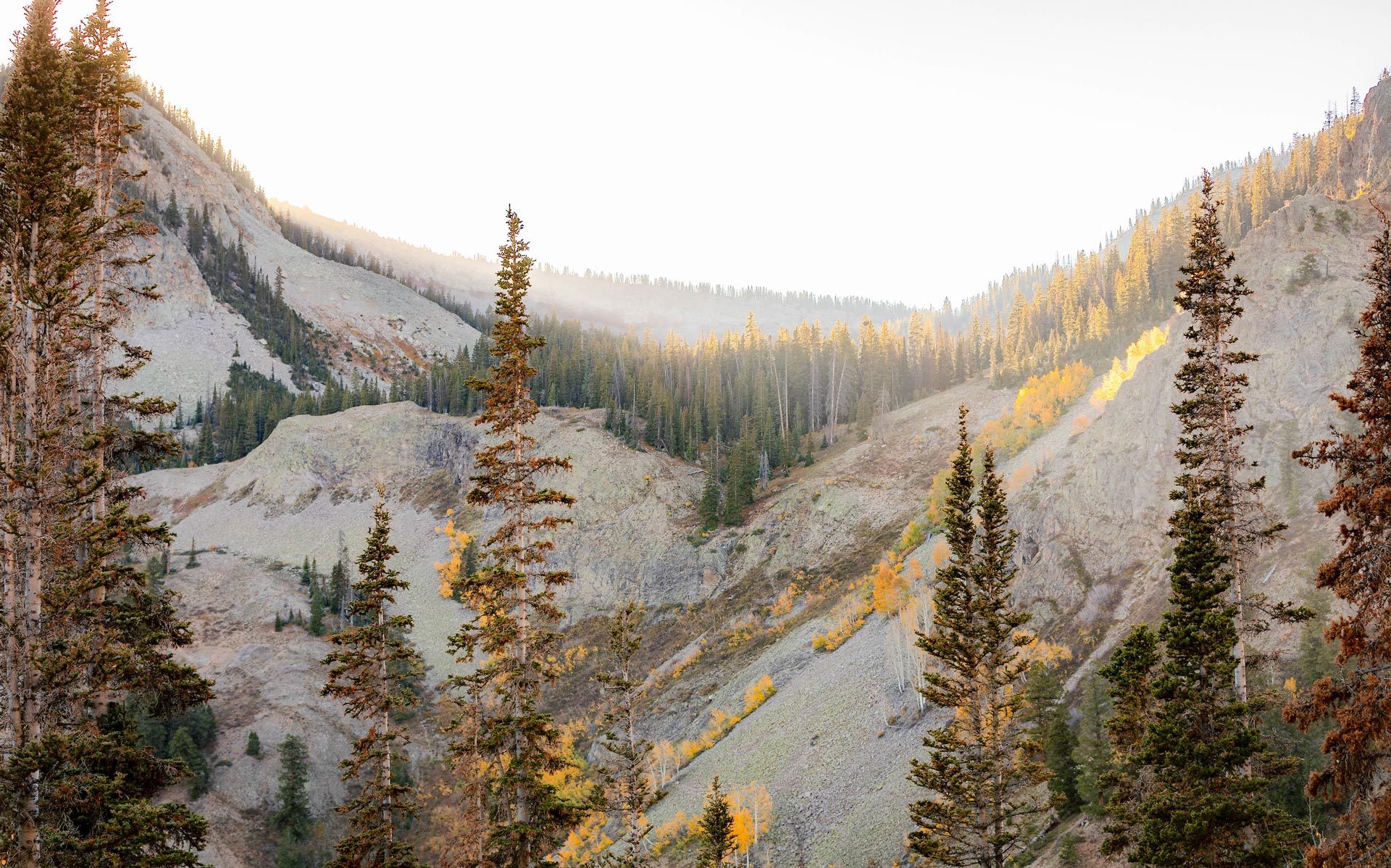 A rocky mountain scene with changing leaves during the fall.