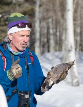 Western Designated Bird Friendly Campus Amid Dramatic Bird Declines