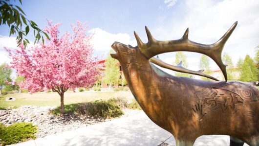 Western Professor to Tell Navajo Stories