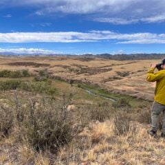 A man in a yellow jacket overlooks a valley with binoculars.