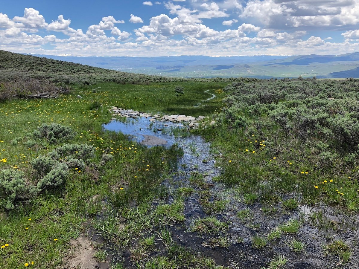 A river in a field.