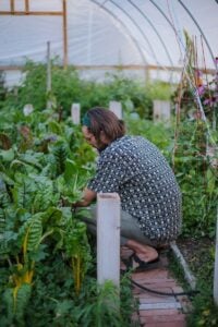 Organics guild member tending to a plant