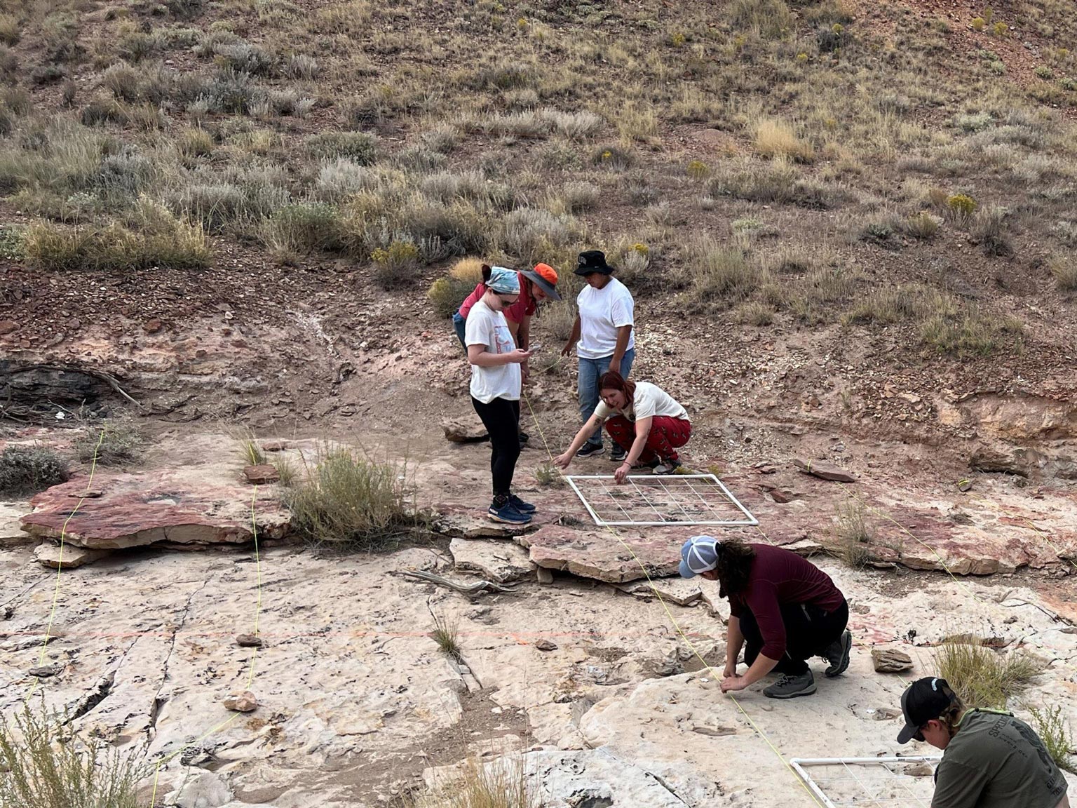 Students us a string to measure the space between the dinosaur footprints