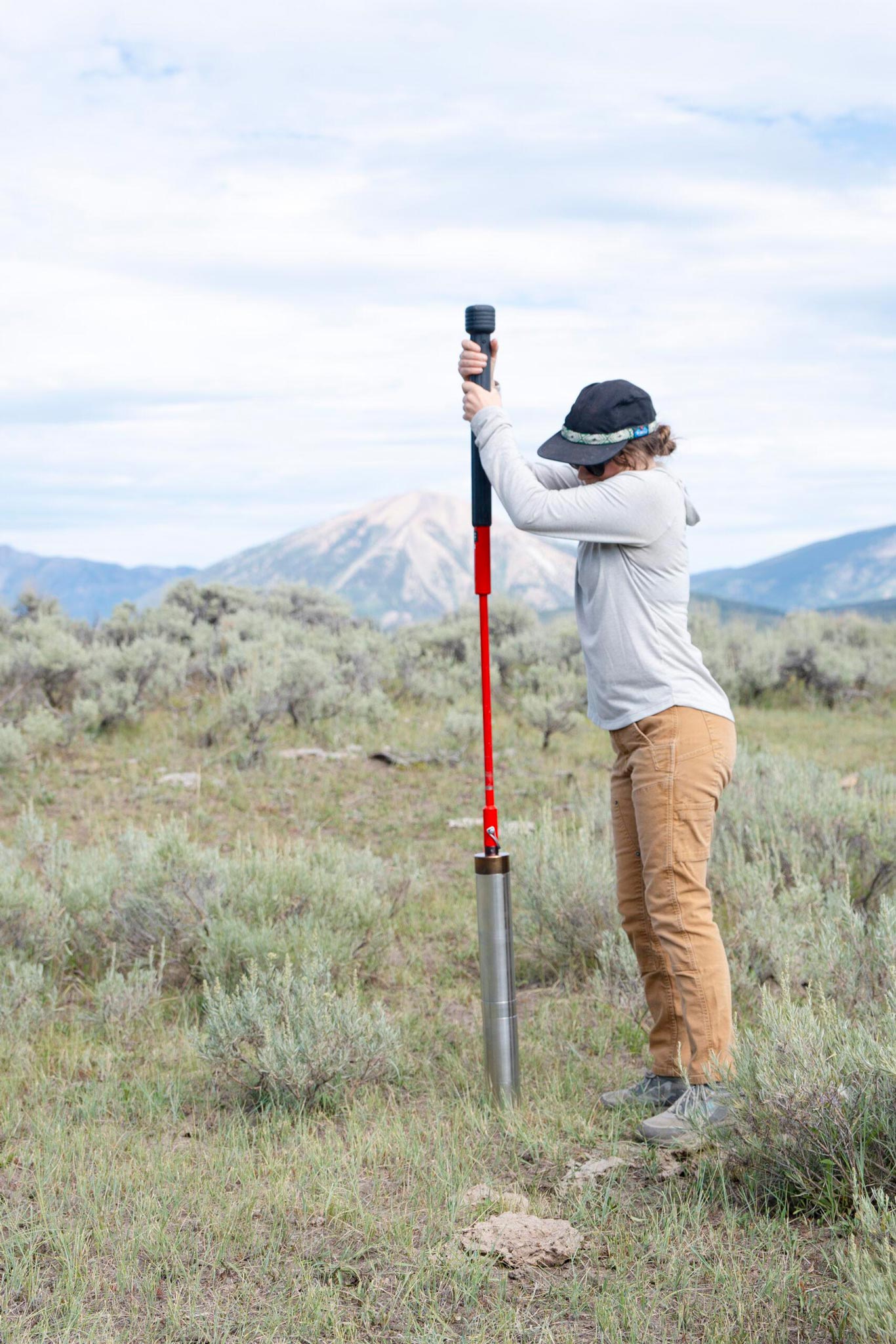 MSE student Phoebe Roberts pounds a soil core sampler into the ground at one of the sites of her graduate project