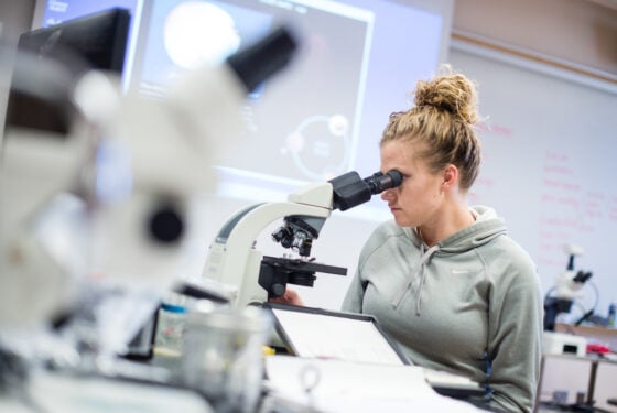student observes through microscope