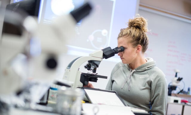 student observes through microscope