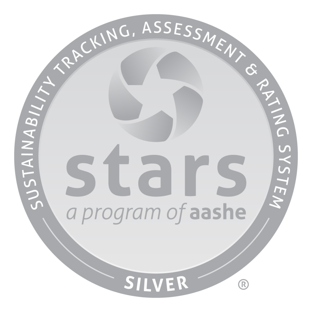 STARS logo (silver)
