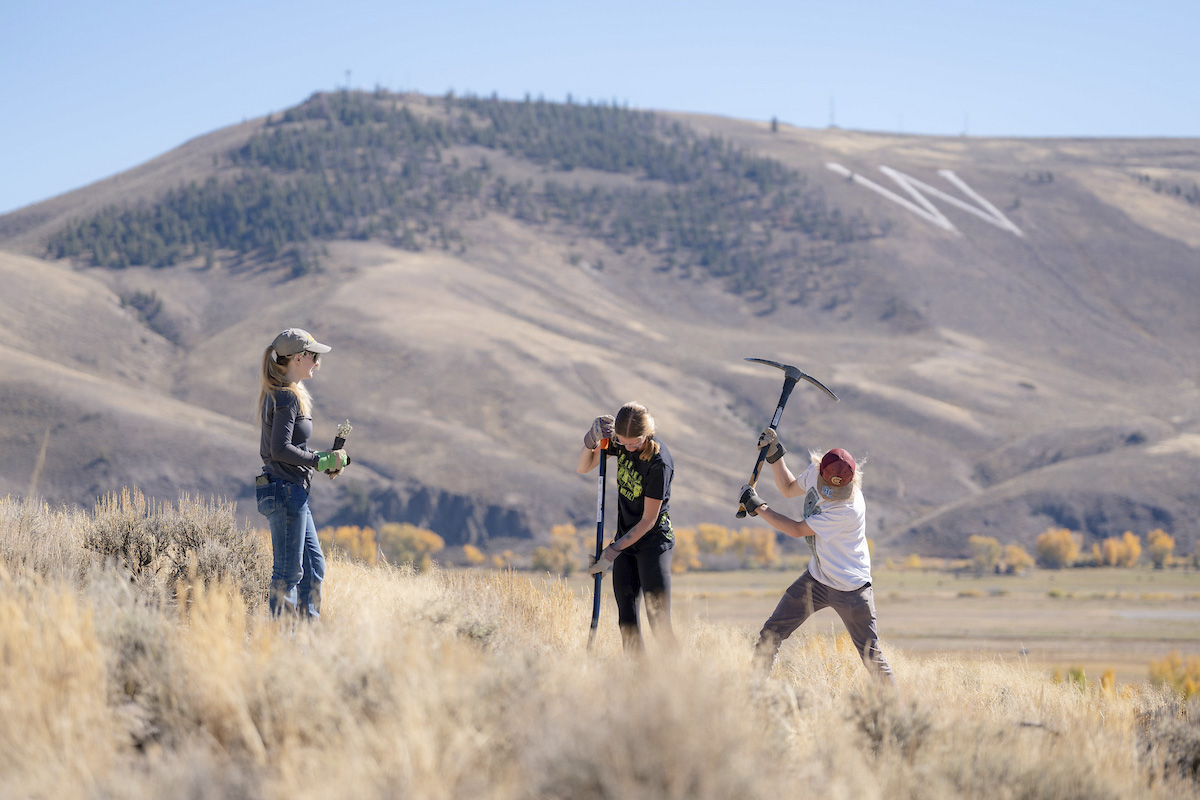 A Wildlife and Conservation Biology class works on a sagebrush restoration project by campus.