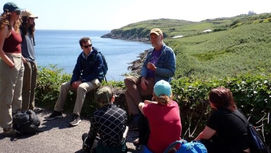 Students learn in the outdoor classroom of Ireland.