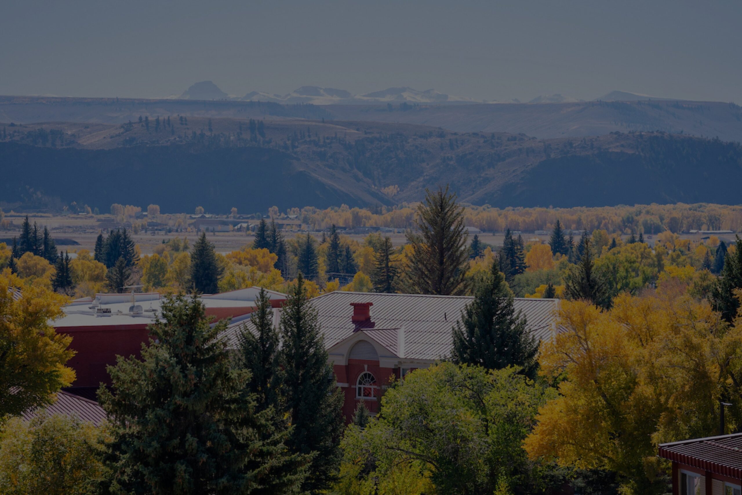 Taylor Hall is seen nestled in the trees of campus with mountains in the background.