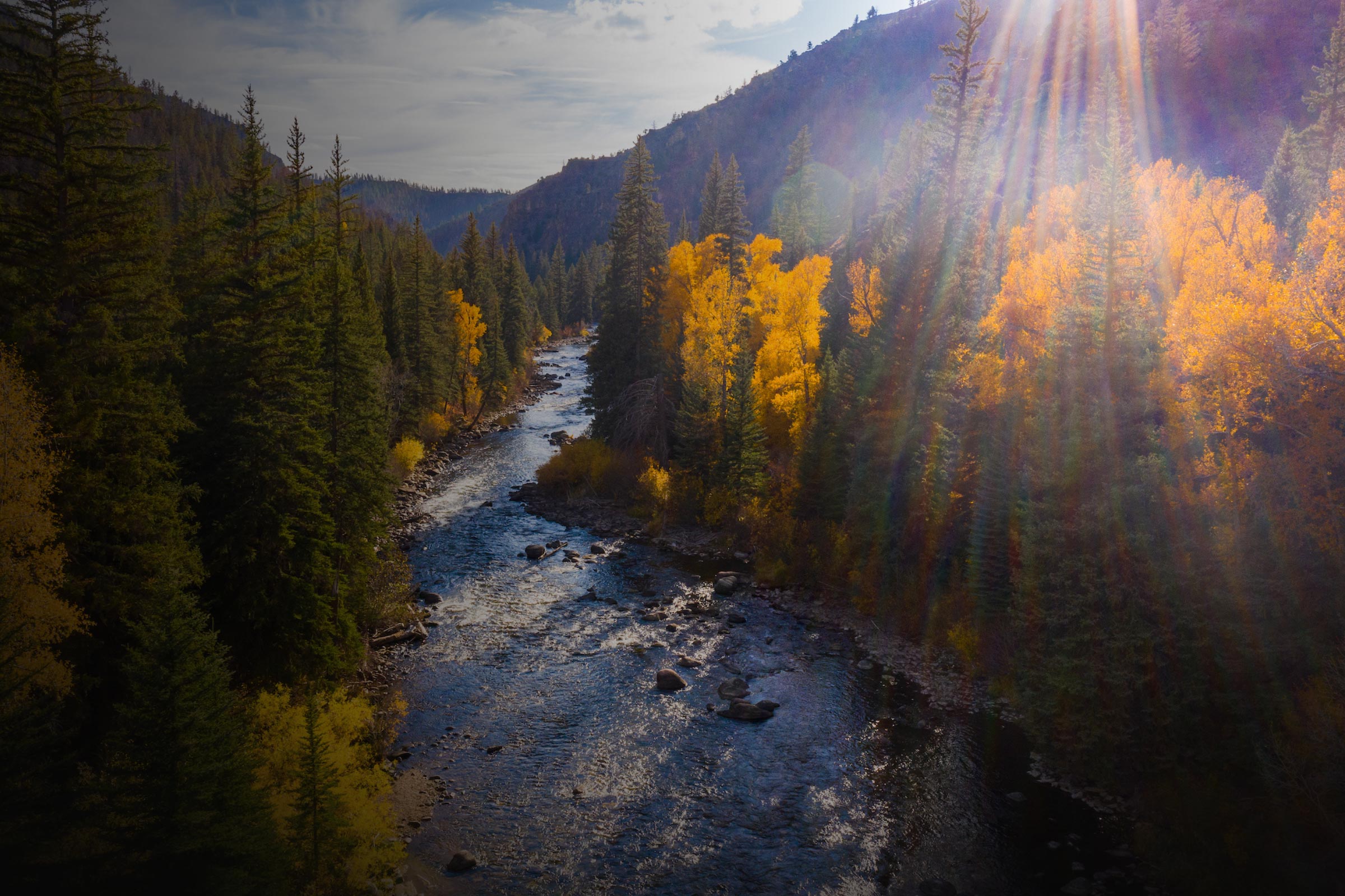 A mountain river surrounded by pine and aspen trees.