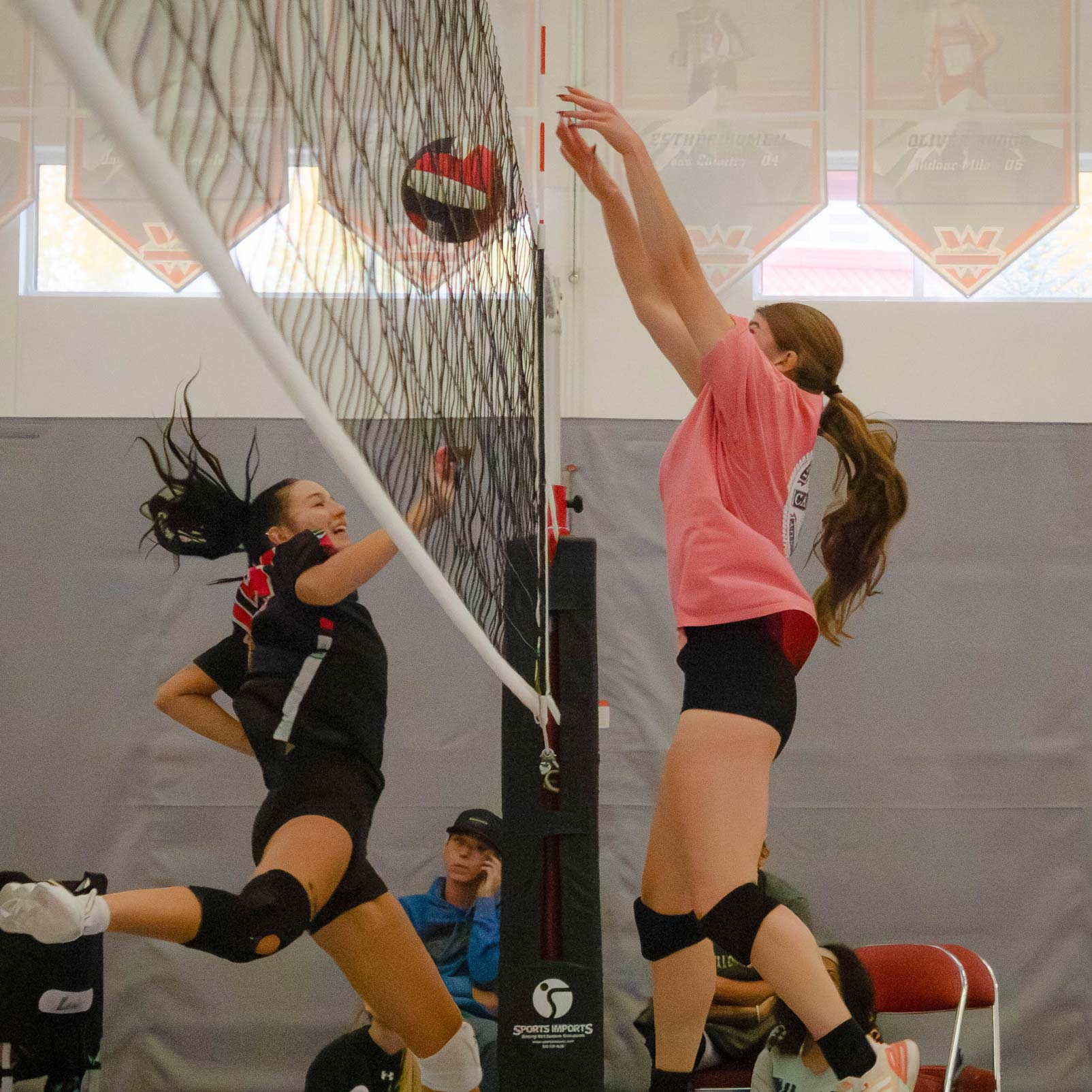 A Western Women's Volleyball player jumps up next to the net to block the ball from coming over.