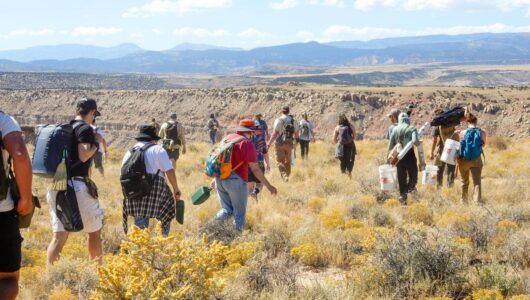 Walking With Dinosaurs: Western Students First to Map 90-Million-Year-Old Tracks
