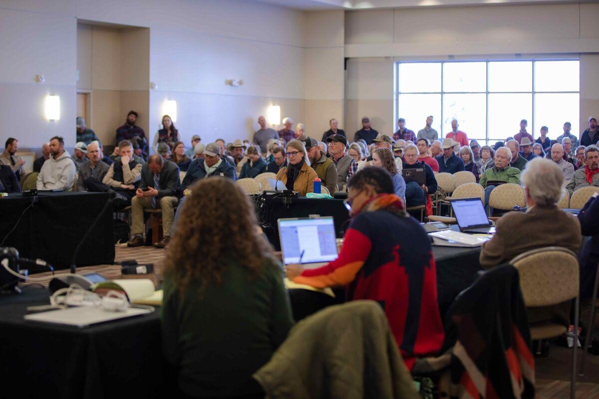 Western Hosts a Public Forum on Wolf Reintroduction to Colorado