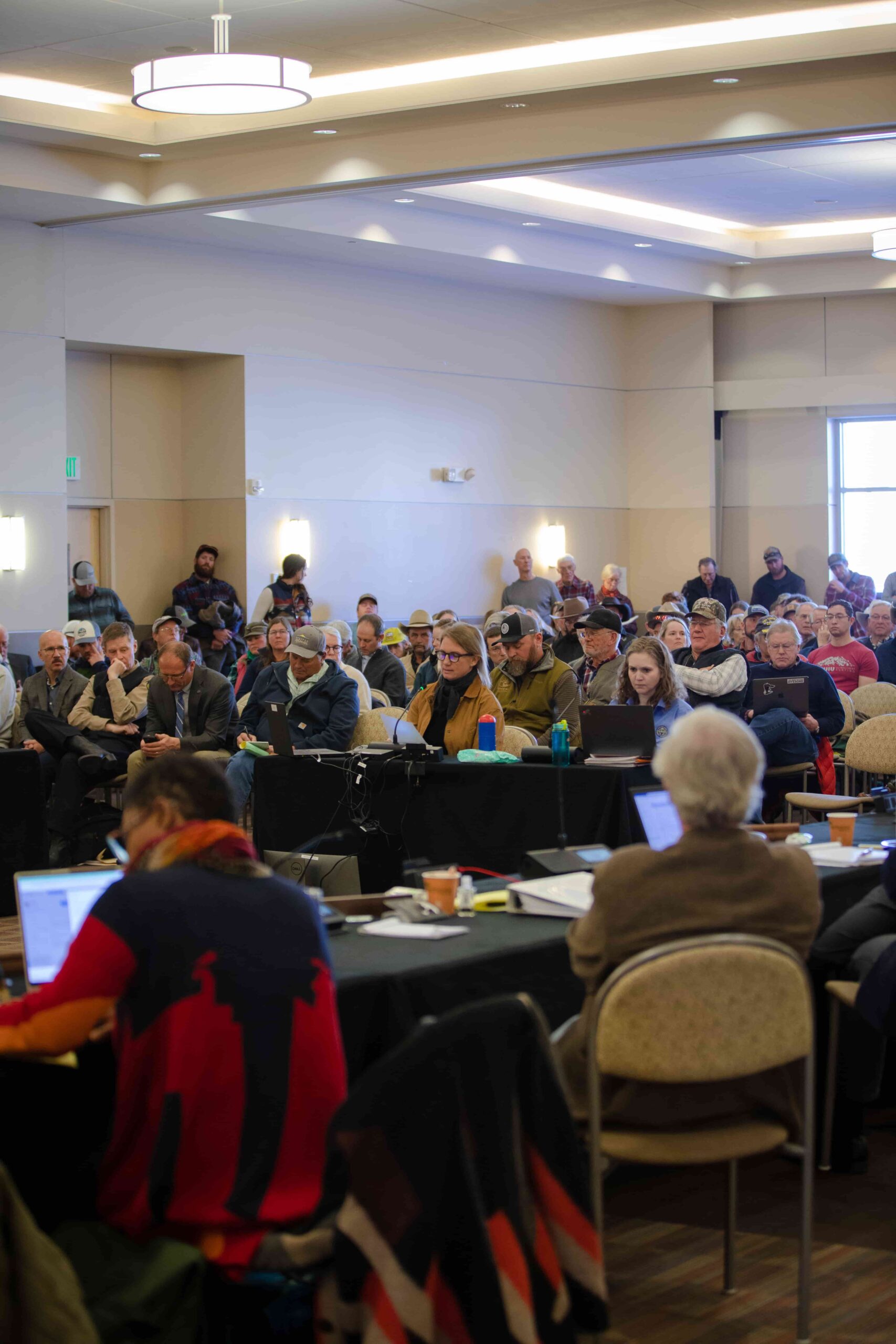 People discussing Colorado wolf reintroduction at forum