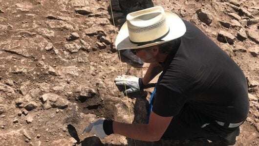Western Students Preserve the Past While Building their Future