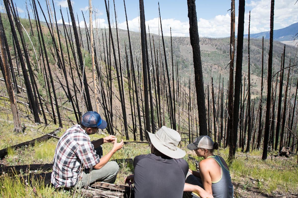 Workshop synthesis paper describes value of prescribed fire in wilderness areas