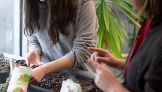 Students Amanda Kill and Annate'a Saylor plant new seeds together in the campus greenhouse.