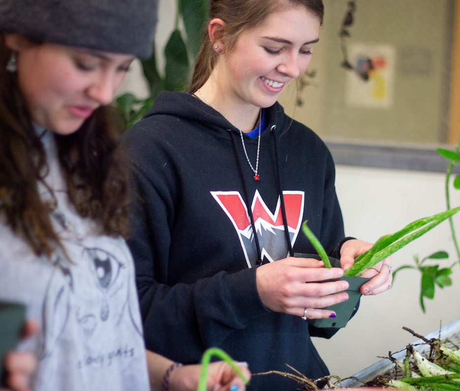 Student Jessica Miller teaches Wildlife Society club member Alyssa Rawiniski how to propogate aloe vera plants.