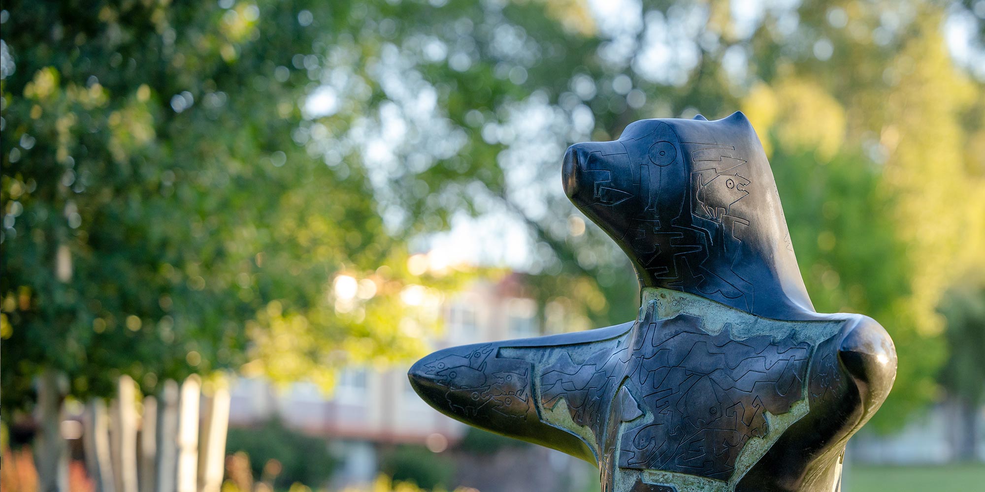 Pathfinder Bear on a summer morning