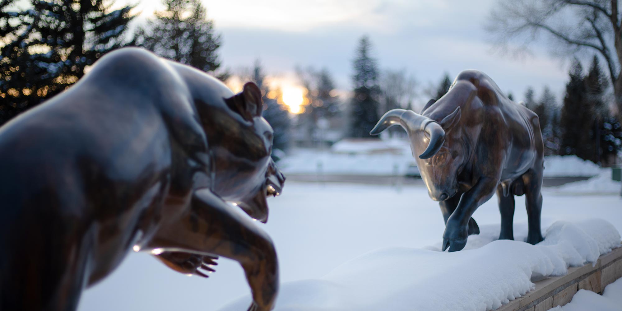 The bear and bull statues outside Borick Hall with snow and the sun setting in the background