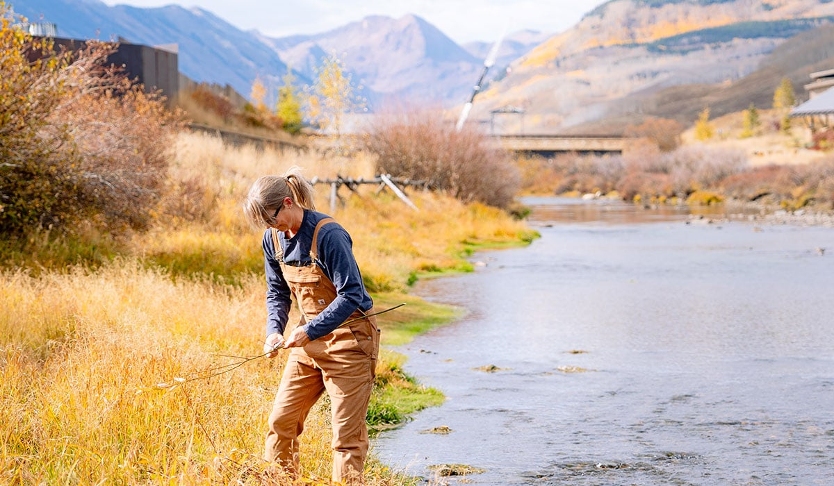 Volunteer collects willow reeds along the stream bank of Slate River on Verzuh Ranch