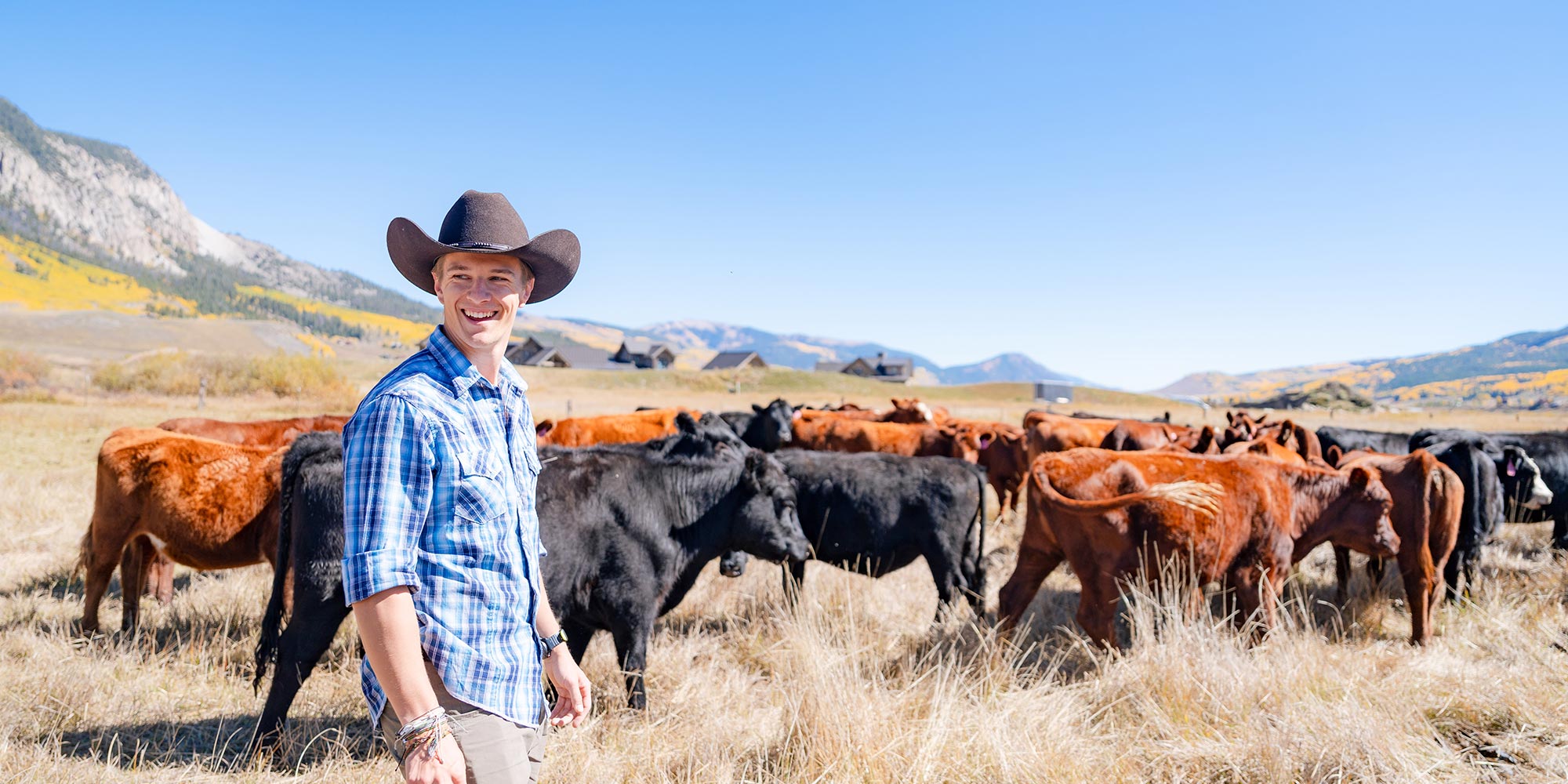 Graduate student wearing a cowboy hat standing on Verzuh Ranch wetlands with cattle behind him