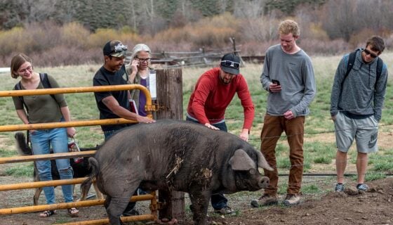 ENVS 397 students connect with some of the locals at Coldharbour Institute