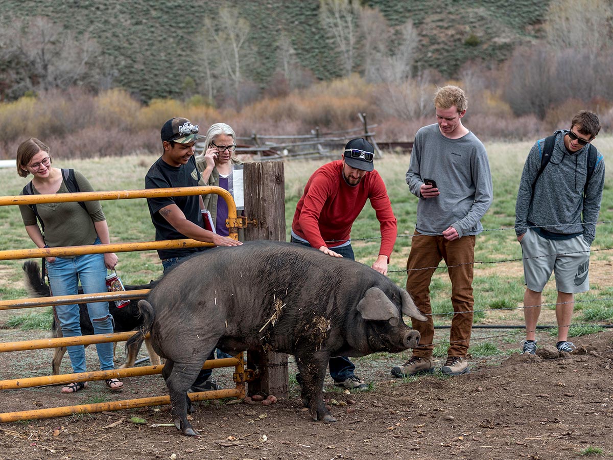 ENVS 397 students connect with some of the locals at Coldharbour Institute