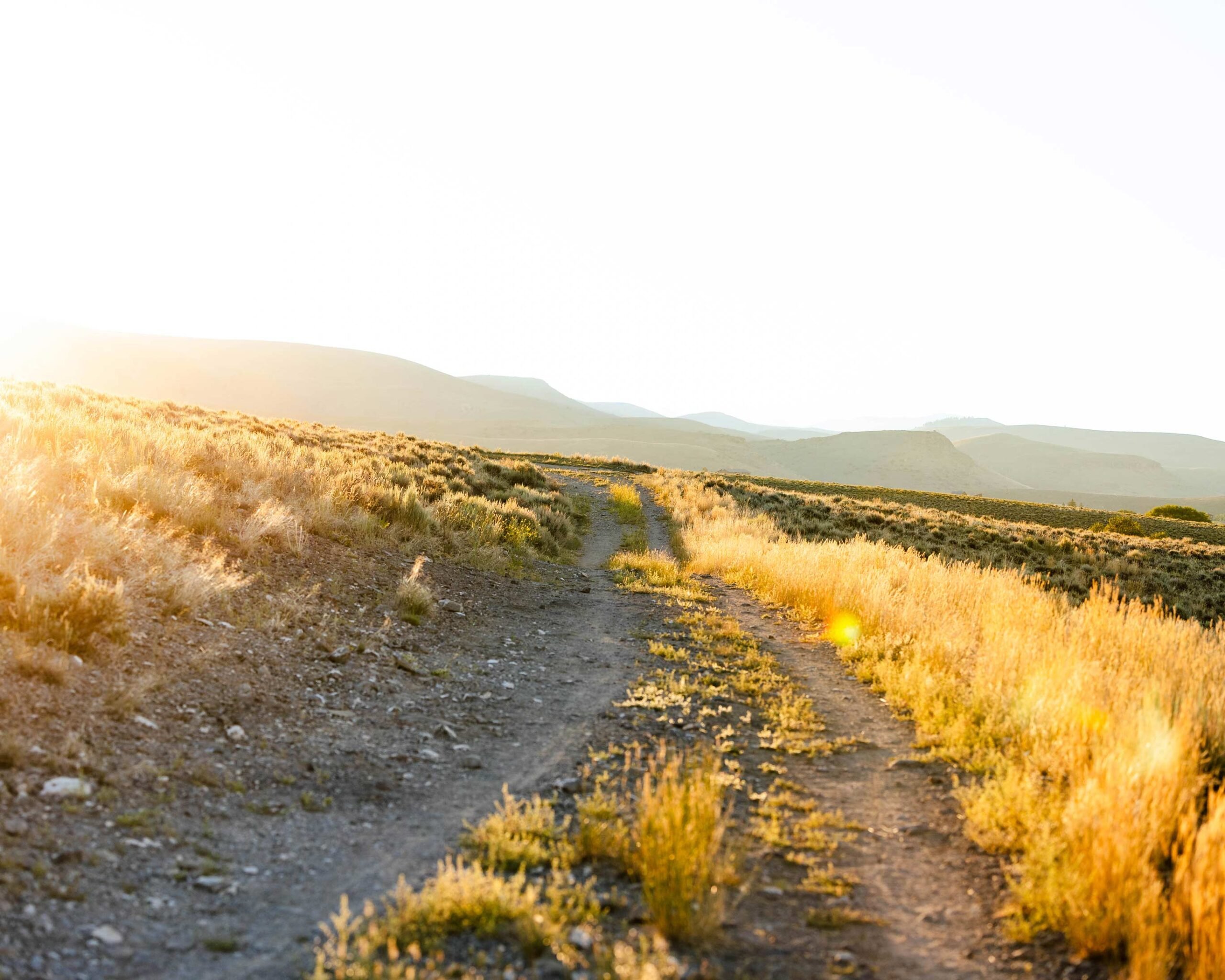 A trail at golden hour behind campus with sage surrounding it.