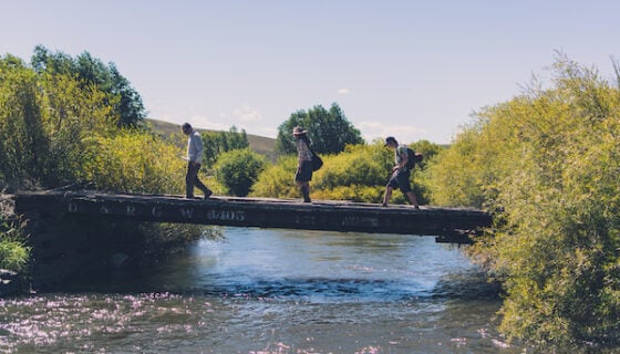 Coldharbour's protected areas will remain pristine with its perpetual conservation easement.