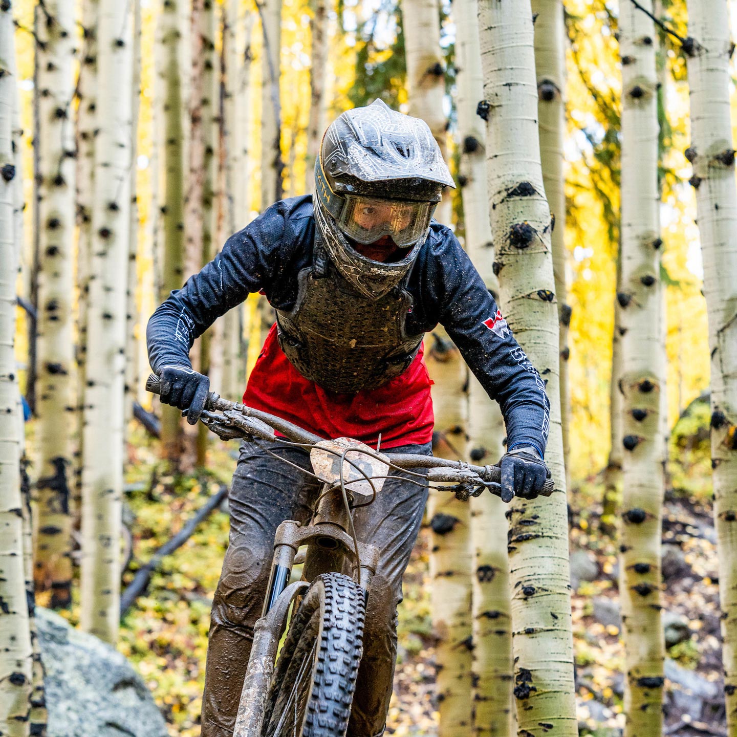 A mountain bike athlete races through the aspen trees during peak fall colors.