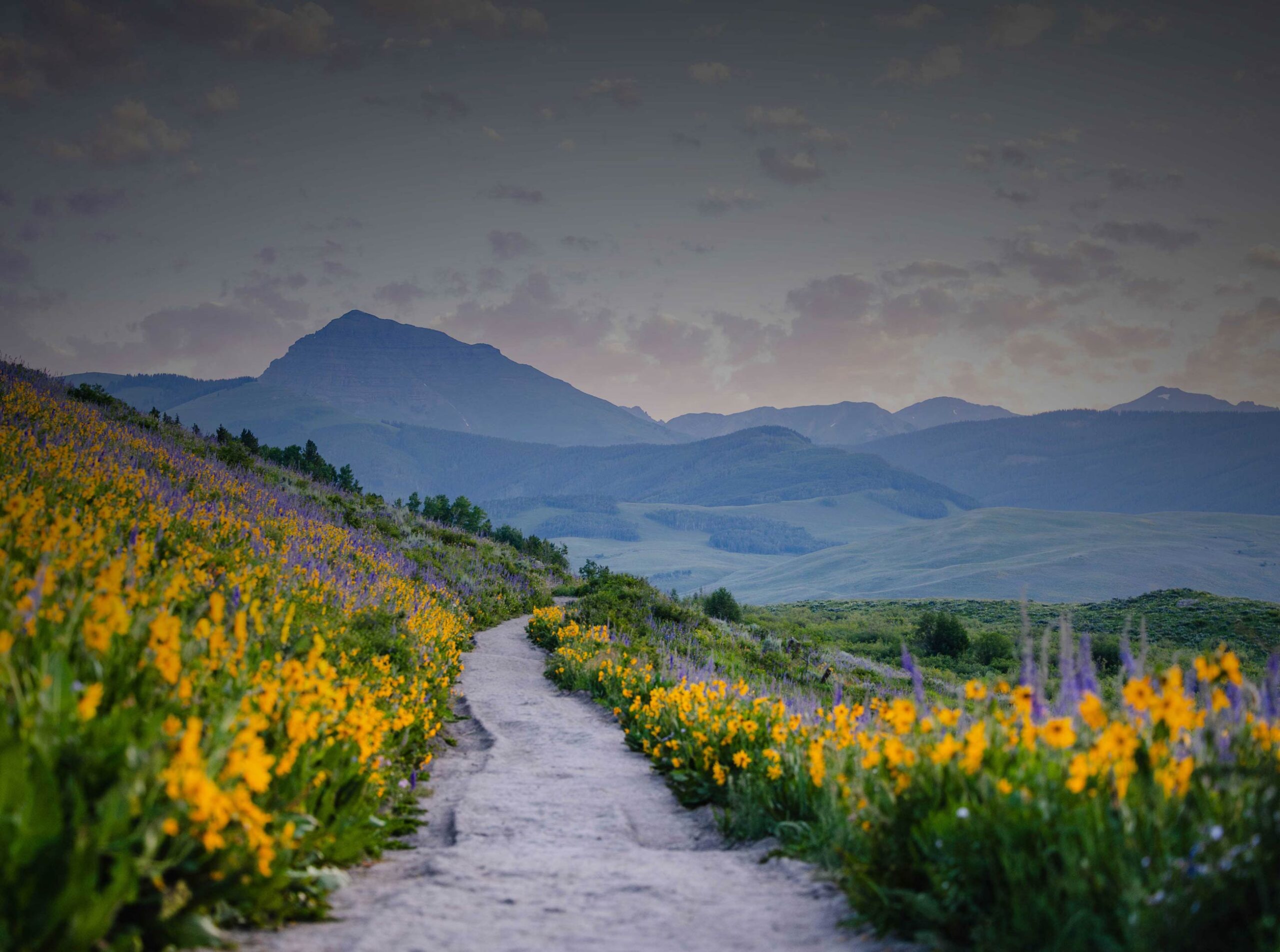 Teocalli Mountain at sunrise on the Brush Creek with wildflowers.