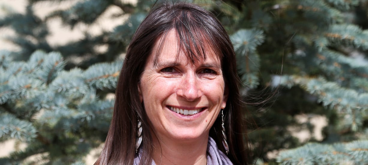 Western professor publishes book focused on sustainability in business