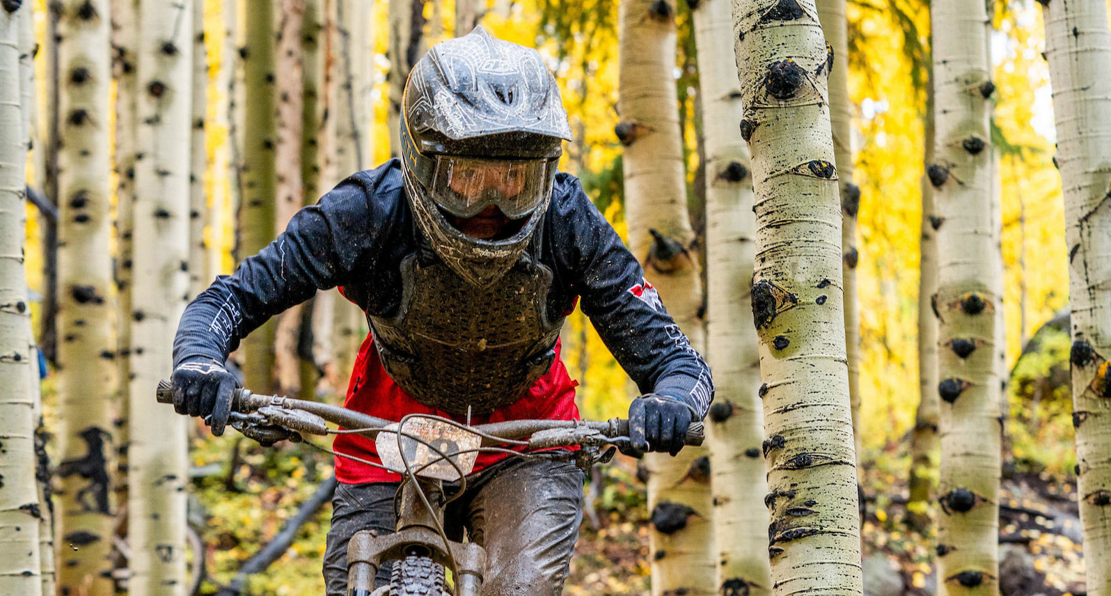 A mountain bike athlete races through the aspen trees during peak fall colors.