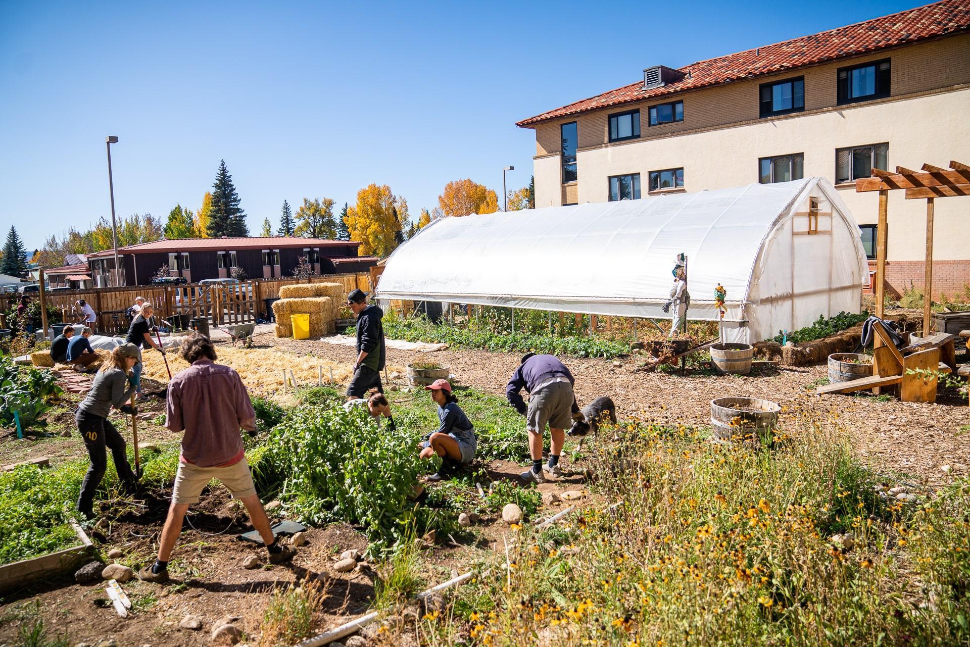 Leadership and Experiential Learning Projects at Western