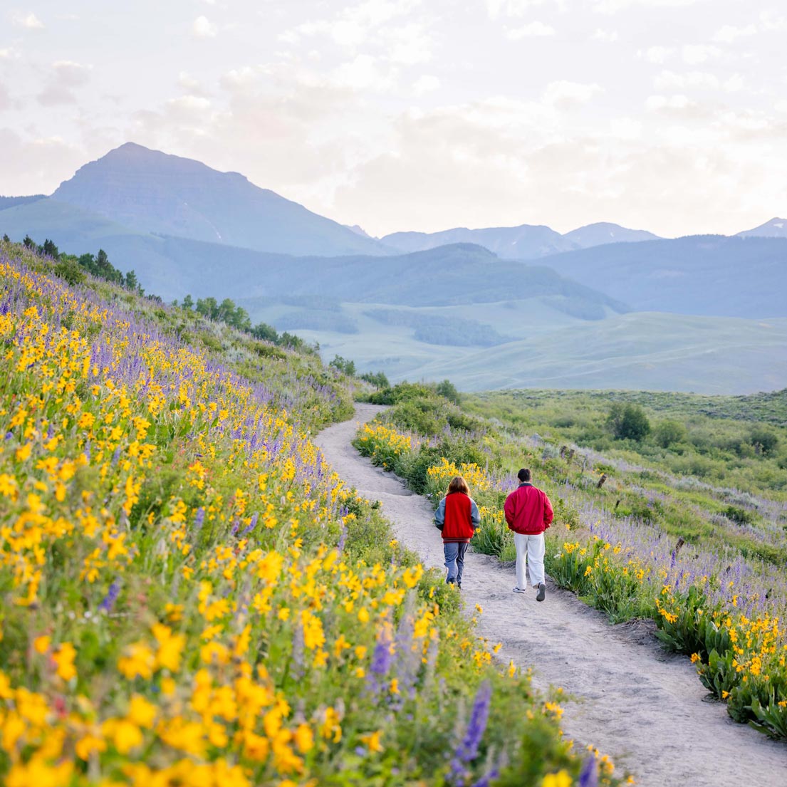 Two students wearing red jackets walk the East River Trail at sunrise during wildflower season.