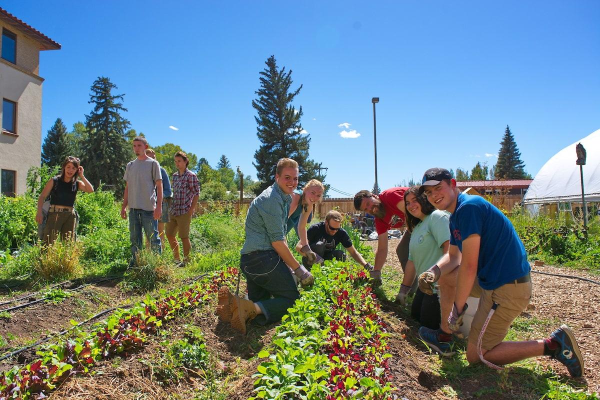 Initiatives at the Western’s College for Environmental Sustainability