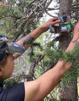 New Study Shows the Impact Trail Recreation Has on Deer, Elk in the Gunnison Basin
