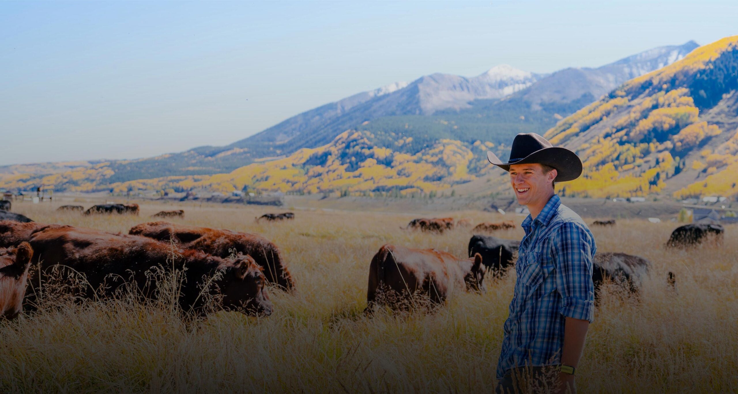 A graduate student wearing a cowboy hat smiles as he stands on Verzuh Ranch wetlands with cattle and Whetstone Mountain behind him.