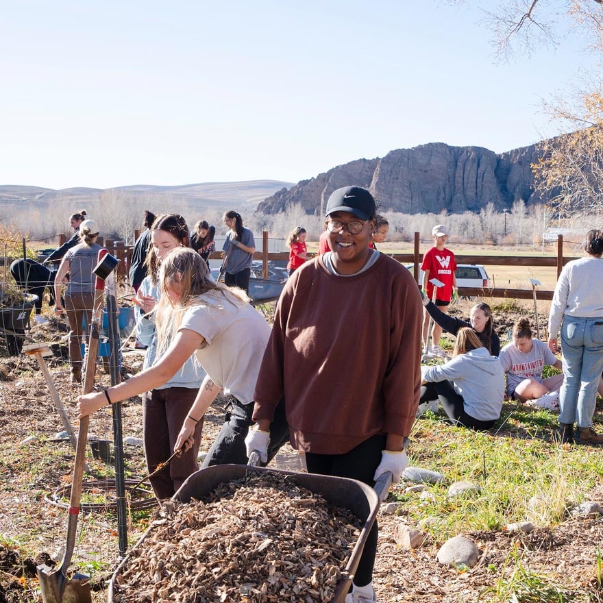 A girl pushes a wheelbarrow full of mulch while volunteering as part of Western's women's soccer team during fall clean up of a Mountain Roots' garden.