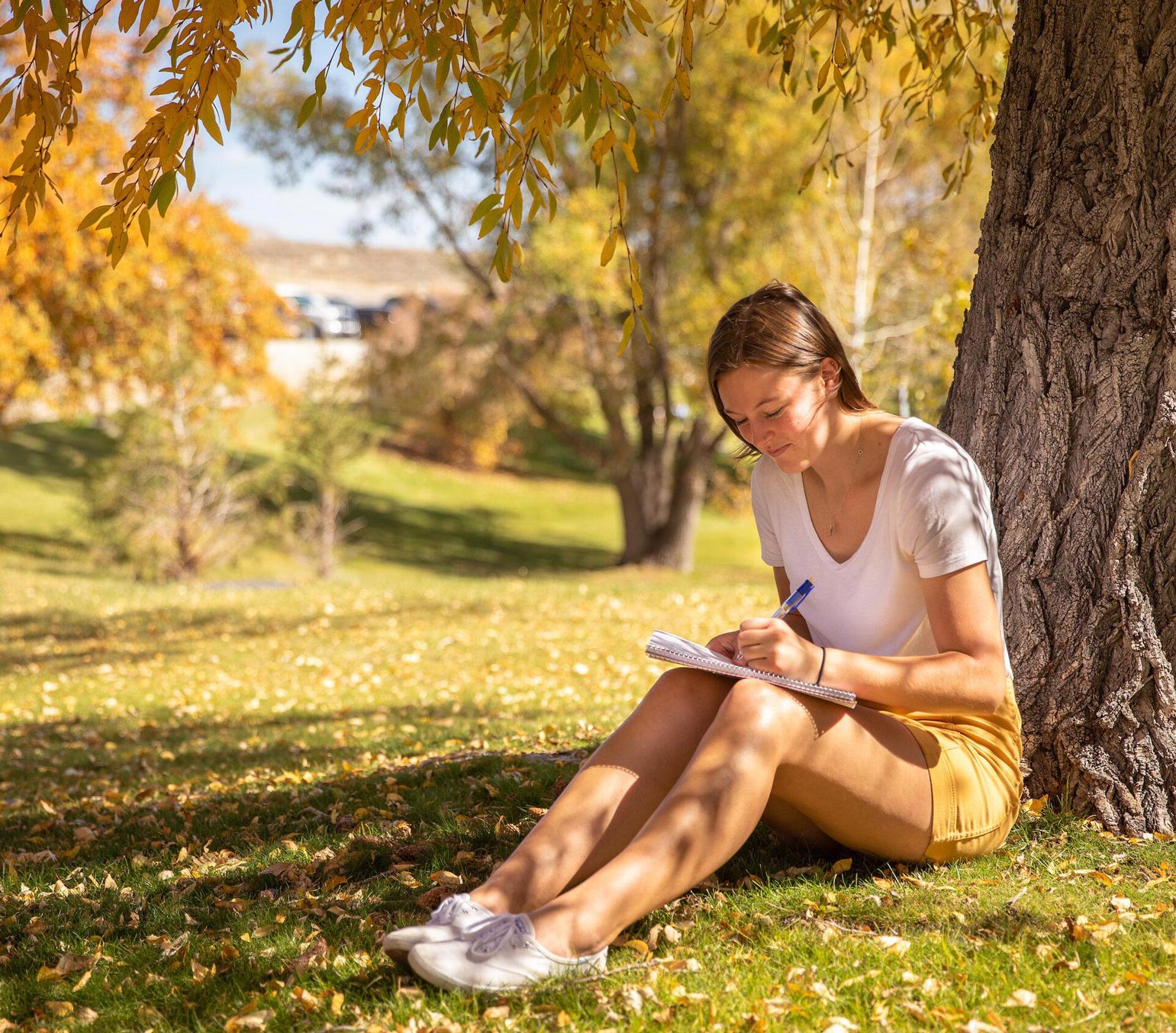 A student sitting against a tree during the fall writes in a notebook.