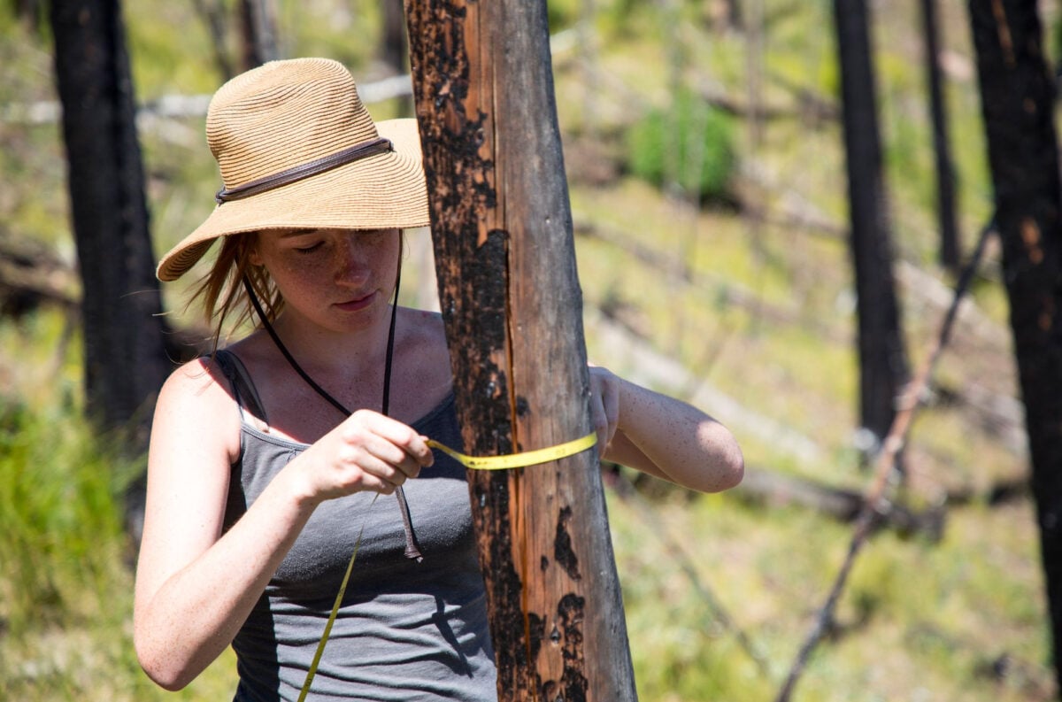 WCU Program: Environment and Sustainabilty