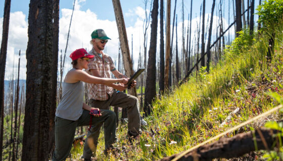 WCU Program: Environmental Biology Ecology