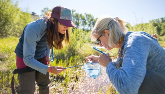 WCU Program: Environmental Science