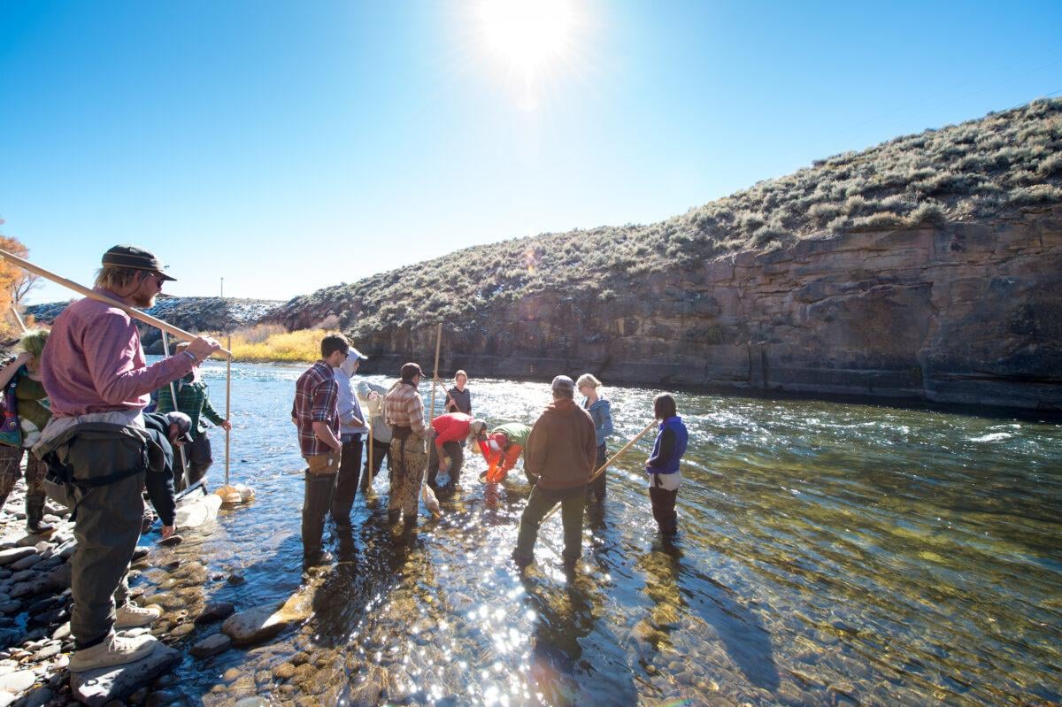 WCU Program: Fisheries and Aquatic Ecology