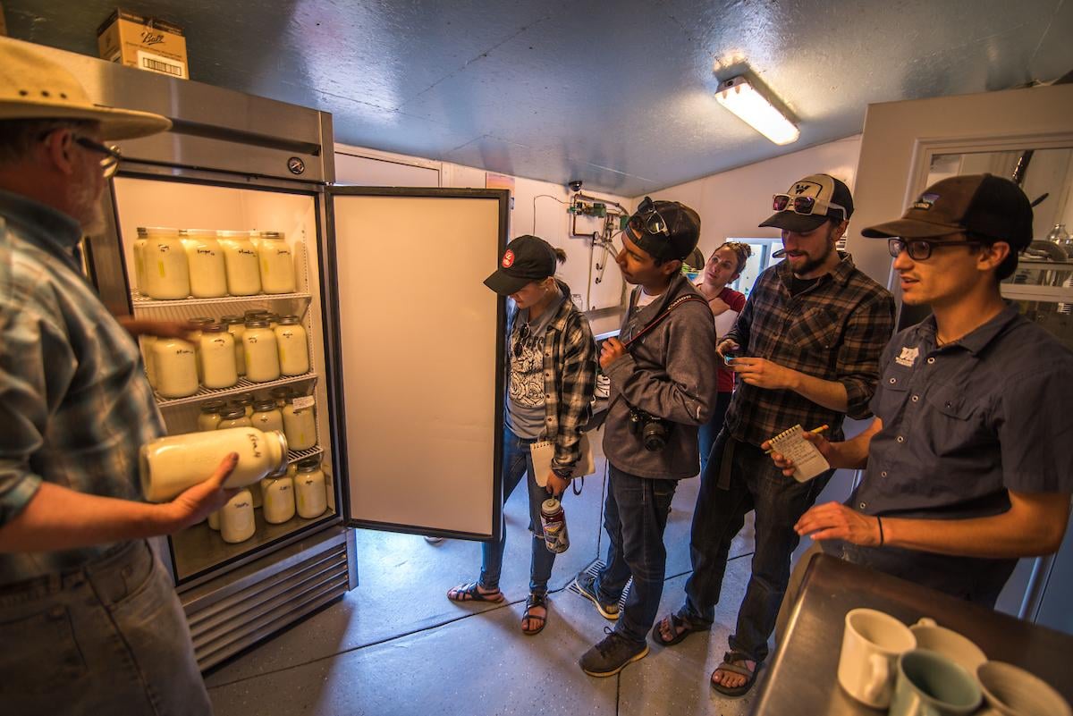 WCU Program: Food Systems