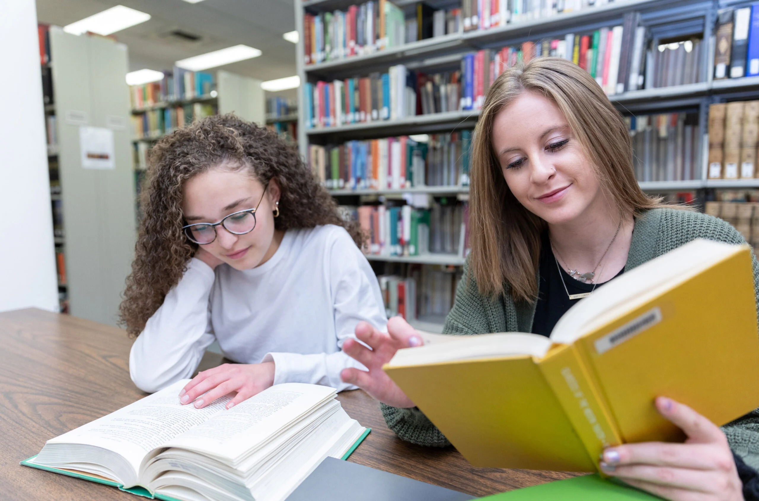 WCU Program: Humanities and Diversity