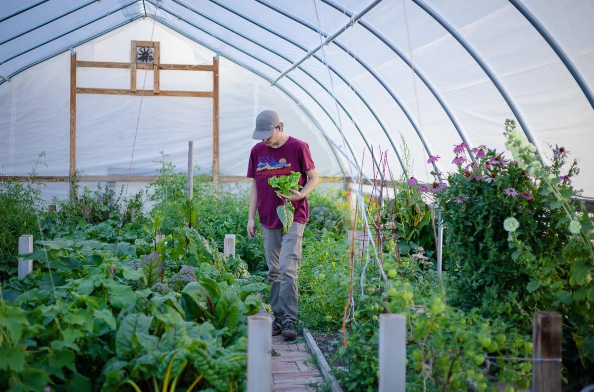 WCU Program: Nutritional Science