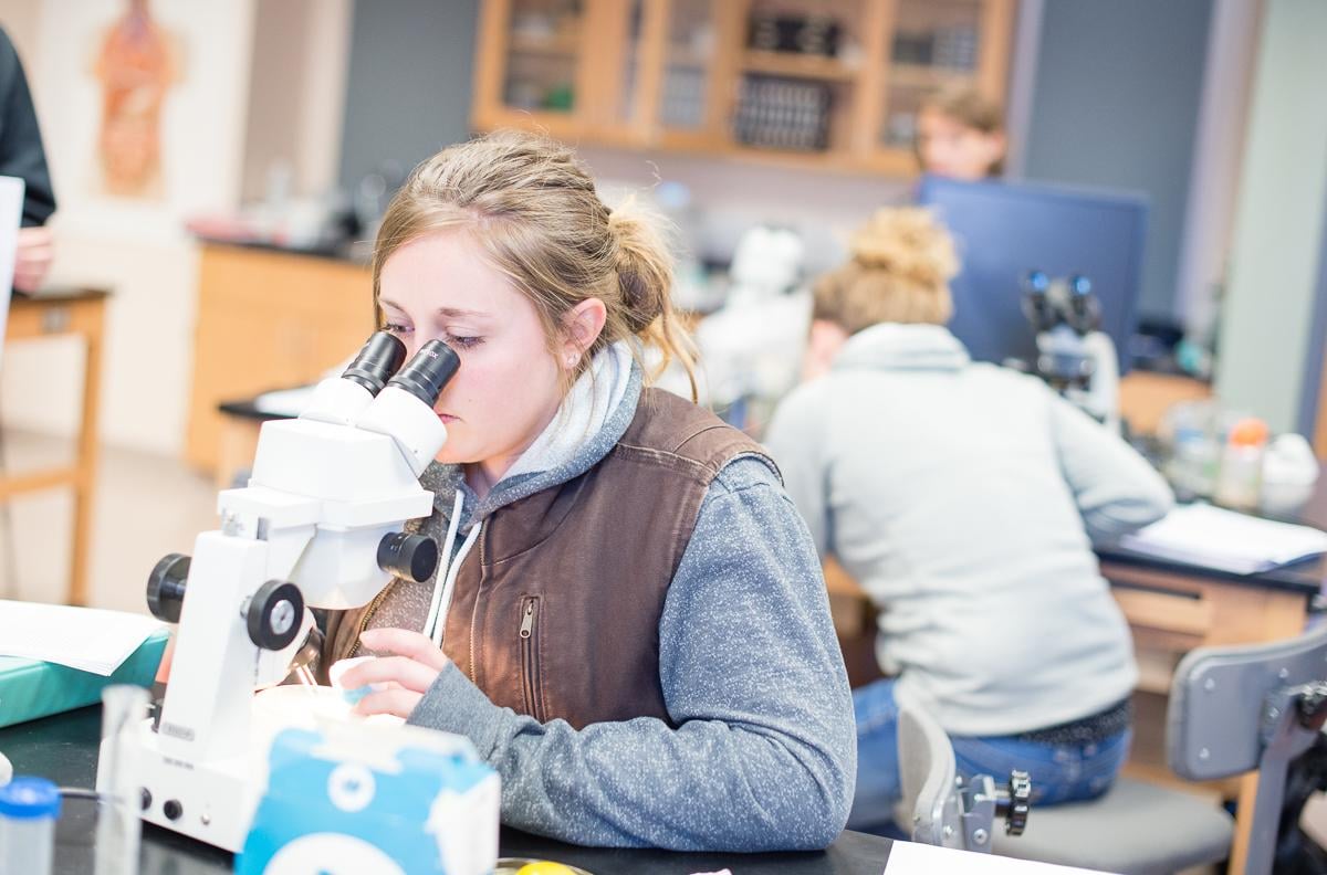 WCU Program: Pre-Medicine/Cell & Molecular Biology